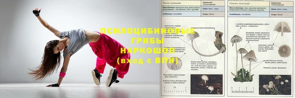 ГАЛЛЮЦИНОГЕННЫЕ ГРИБЫ Горно-Алтайск