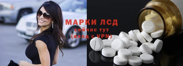 ГАЛЛЮЦИНОГЕННЫЕ ГРИБЫ Горно-Алтайск