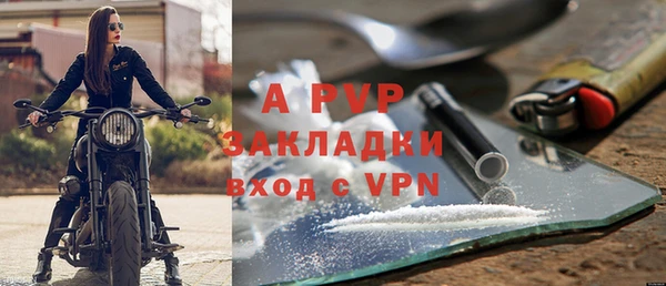 ГАЛЛЮЦИНОГЕННЫЕ ГРИБЫ Горно-Алтайск