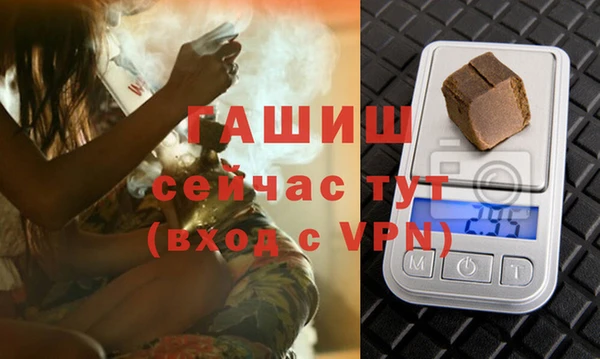 ГАЛЛЮЦИНОГЕННЫЕ ГРИБЫ Горно-Алтайск