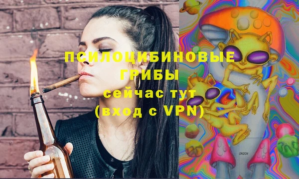 герыч Горнозаводск