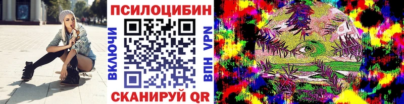 Псилоцибиновые грибы Psilocybe  Купить закладки  Шебекино 
